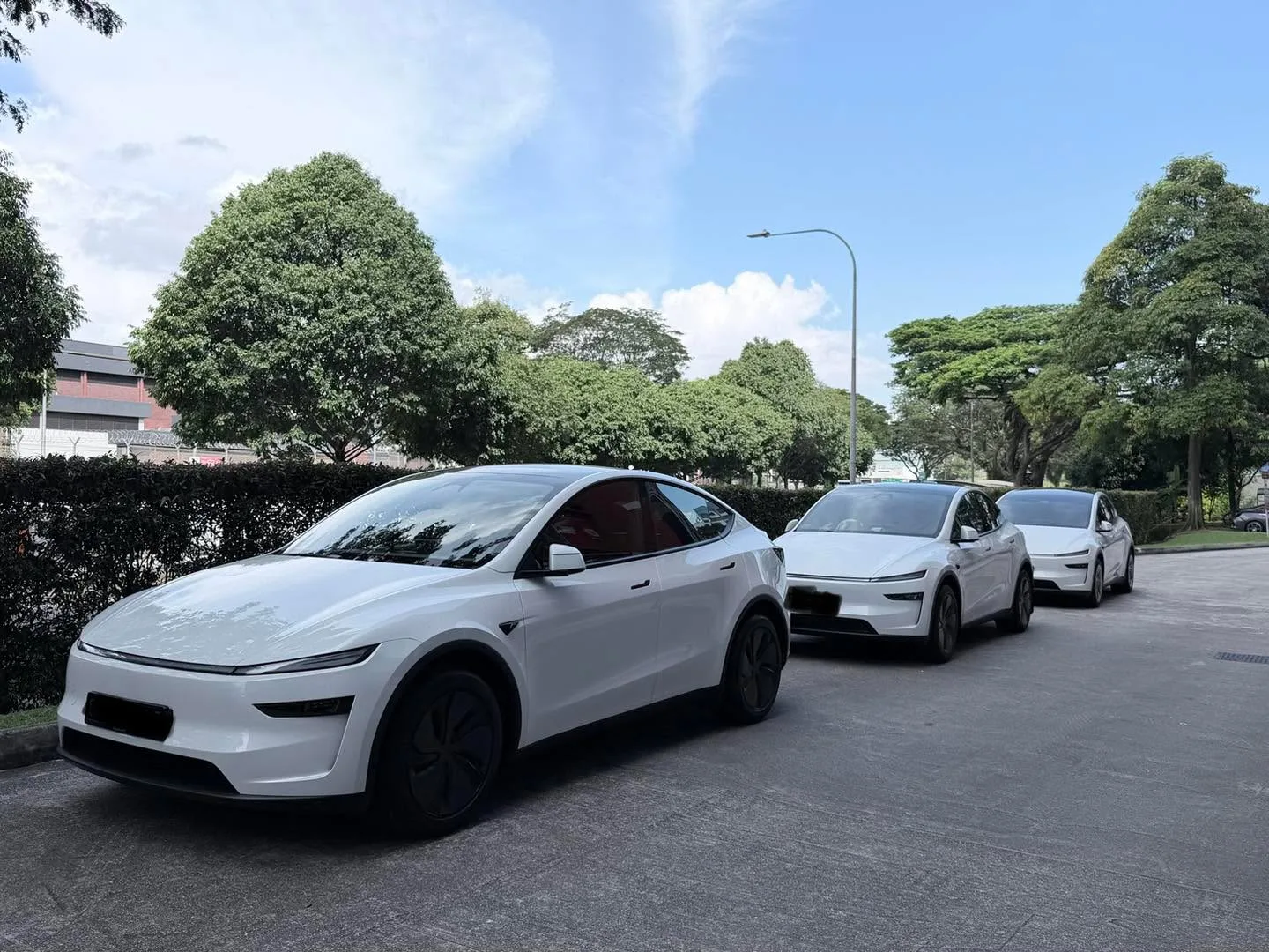 Three white electric saloons parked in a line on a driveway under trees.