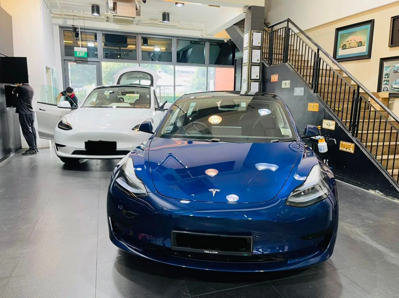 Blue Tesla Model 3 and white Tesla Model Y inside the Infratint Singapore showroom for window tinting